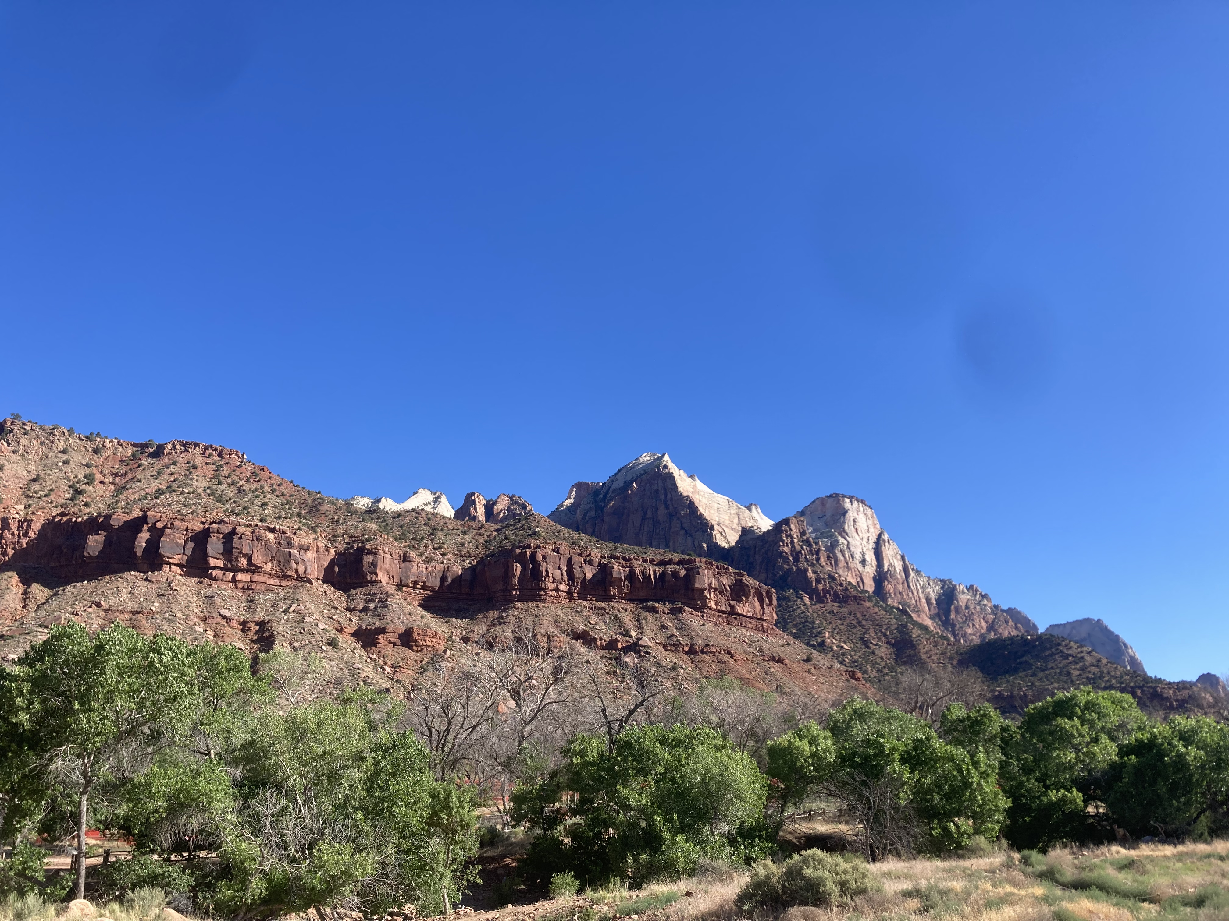 Desert landscape
